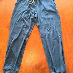 Vuori Blue Track Pants
